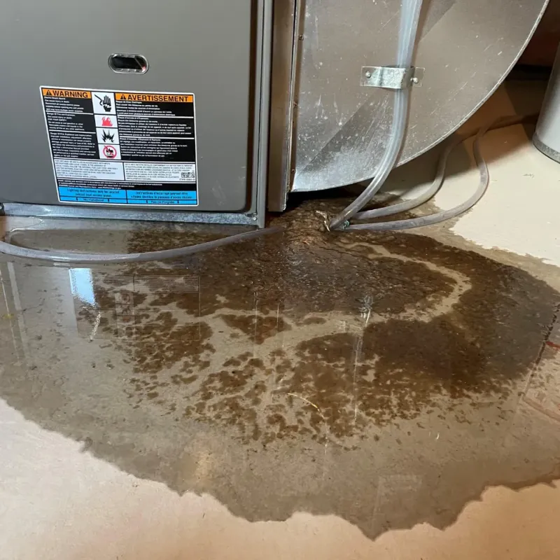 Appliance Leak Cleanup in Crooksville, OH